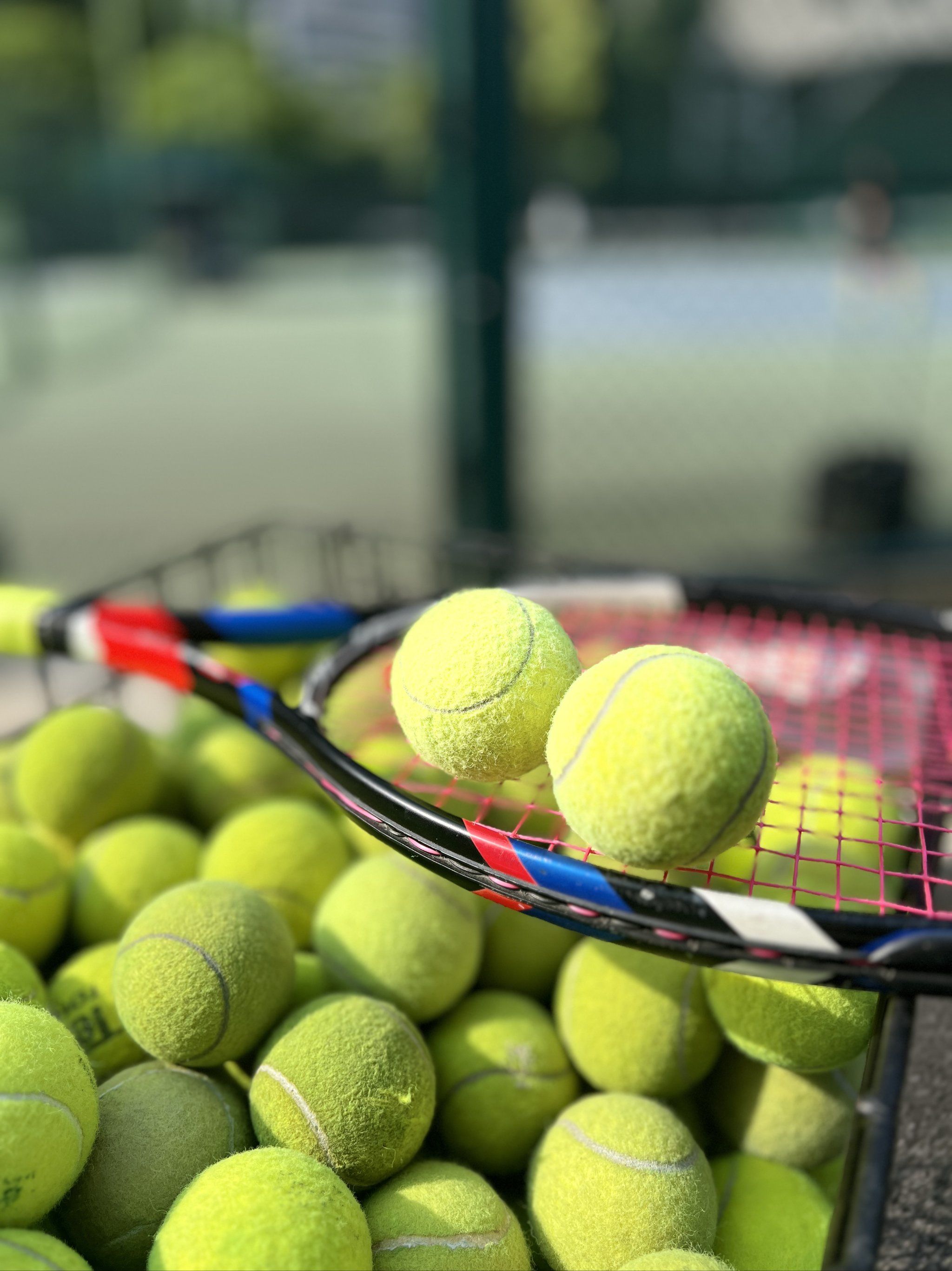 新闻机构之 新闻机构之